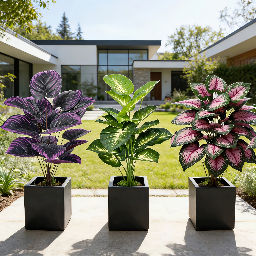 3-delige set met diverse grote - Ficus Lyrata Tree recensie en prijs