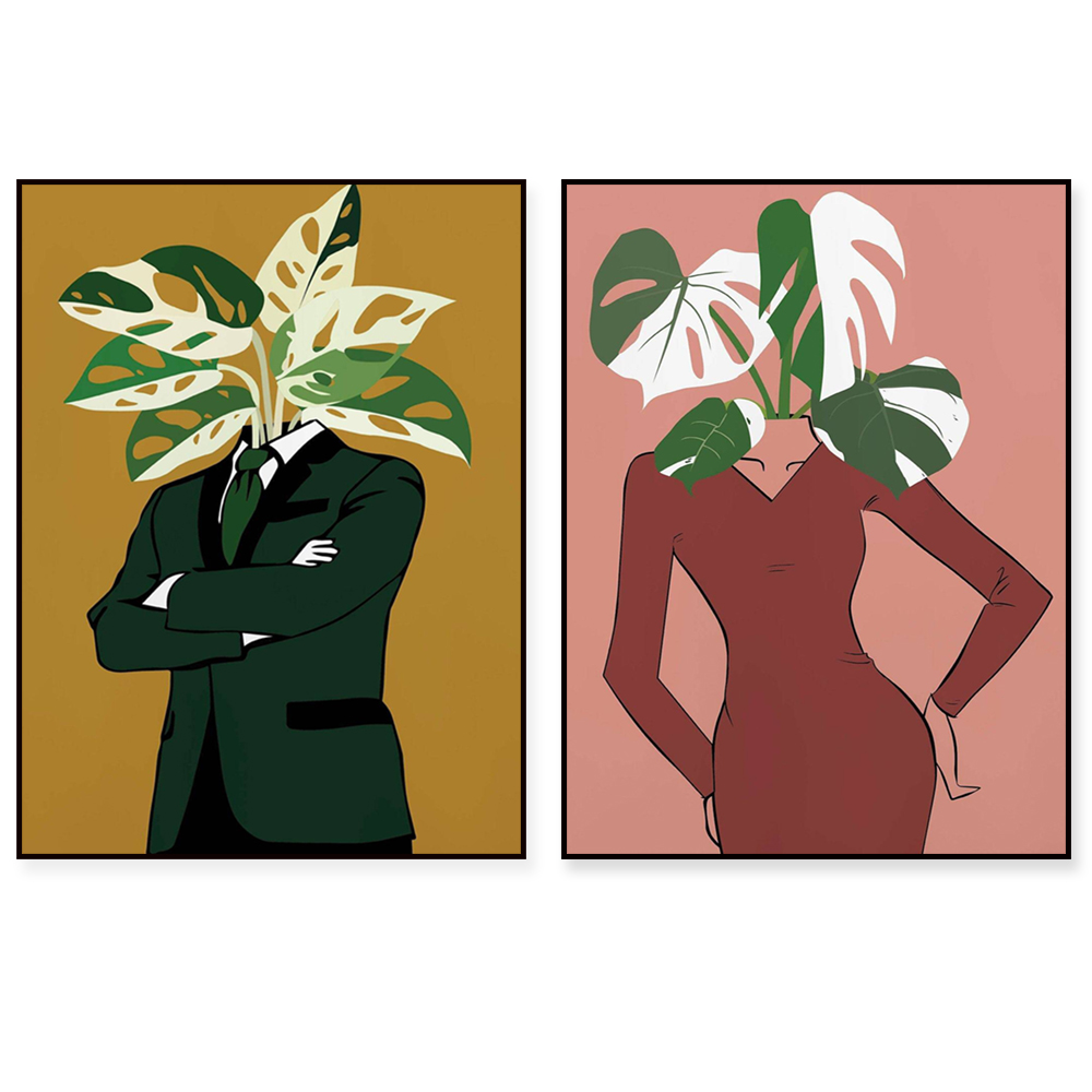 Monstera Albo in een bordeauxr - Monstera Adansonii recensie en prijs